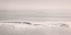 Picture of CALM SURF