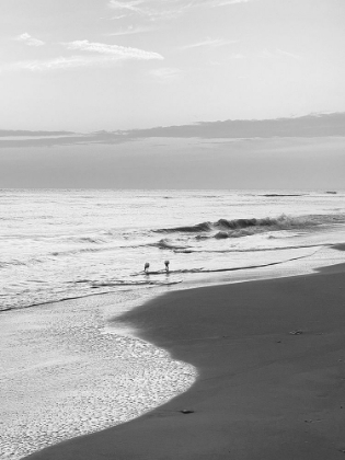 Picture of EVENING BEACH STROLL