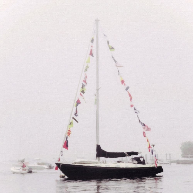 Picture of SAIL FLAGS IN HARBOR