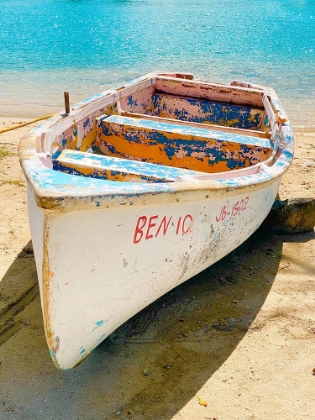 Picture of TROPICAL ISLAND ROW BOAT