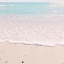 Picture of KISS THE SHORE