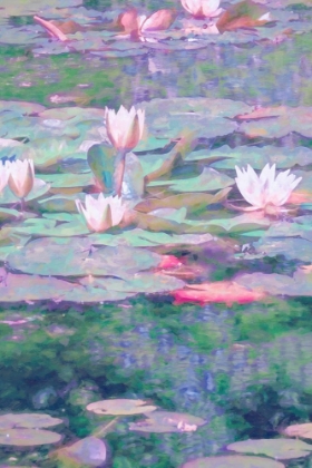 Picture of MY WATER LILIES