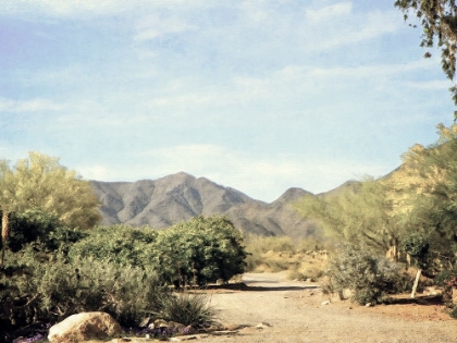 Picture of DESERT PATH