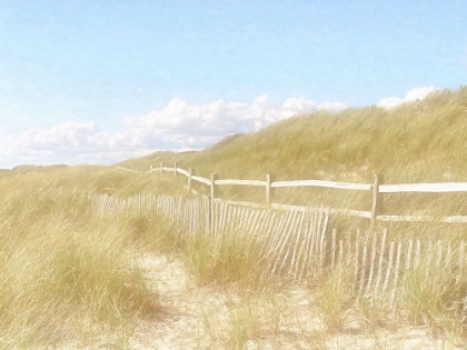 Picture of SEAGRASS DUNES