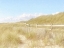 Picture of SEAGRASS DUNES