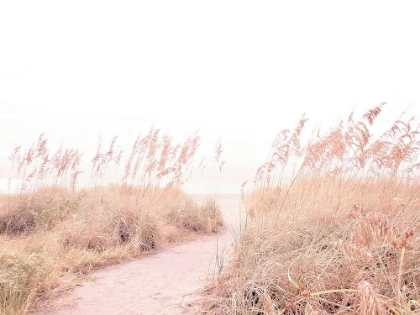 Picture of WALK THROUGH THE GRASSES