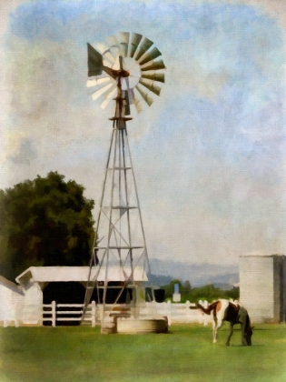 Picture of WINDMILL ON FARM