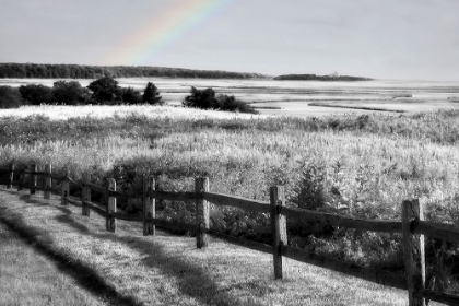 Picture of FORT HILL MARSH BLACK AND WHITE