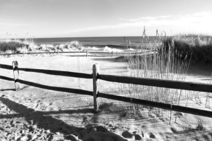 Picture of COAST GUARD BEACH BLACK AND WHITE