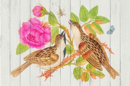 Picture of BOLD BOTANICAL BIRDS 3