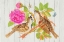 Picture of BOLD BOTANICAL BIRDS 3