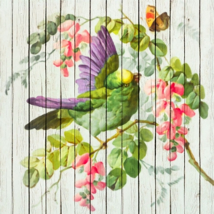 Picture of SPRING BIRD AND BLOSSOMS