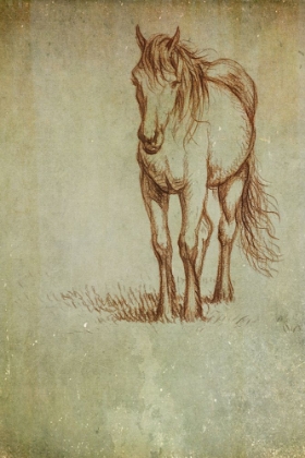 Picture of RANCH HORSE LINE DRAWING FRONT VIEW