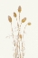 Picture of PLANTING GOLD BOTANICAL 1