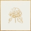 Picture of METALLIC GOLD HYDRANGEA