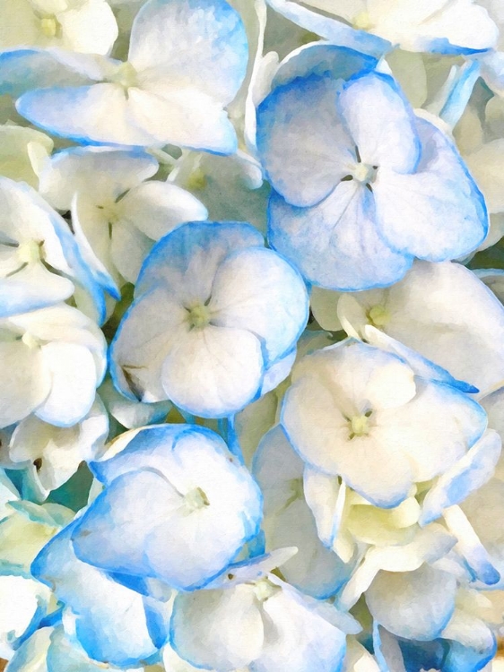 Picture of BLUE BEACH BLOSSOMS