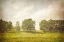 Picture of HOPS ON THE HILL