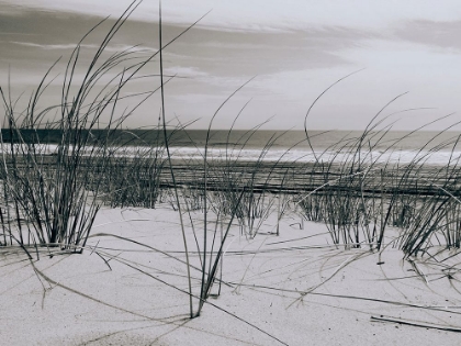 Picture of OCEAN WATERS THROUGH THE DUNES