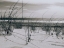 Picture of OCEAN WATERS THROUGH THE DUNES