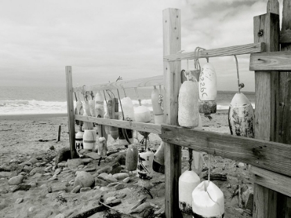 Picture of BOUYS FENCE BANDW