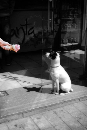 Picture of WAITING FOR ICE CREAM