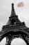 Picture of EIFFEL TOWER AND BEYOND