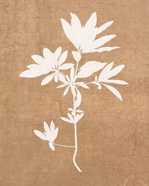 Picture of TERRA COTTA BOTANICAL LEAF #1