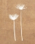 Picture of TERRA COTTA BOTANICAL LEAF #2