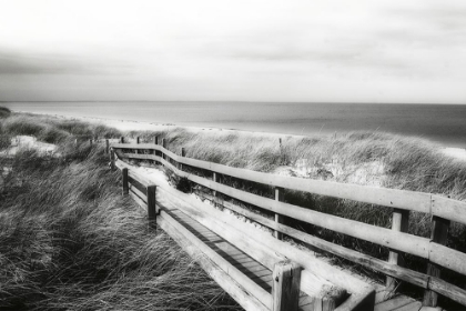 Picture of SHORELINE WALKING TRAIL