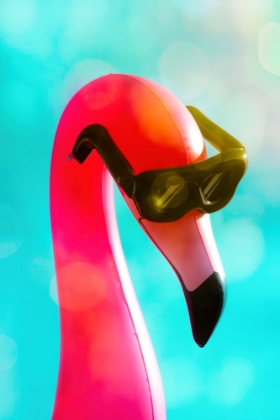 Picture of FLAMINGO BASKING IN BOCA BOKEH