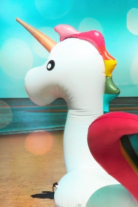 Picture of UNICORN BASKING IN BOCA BOKEH