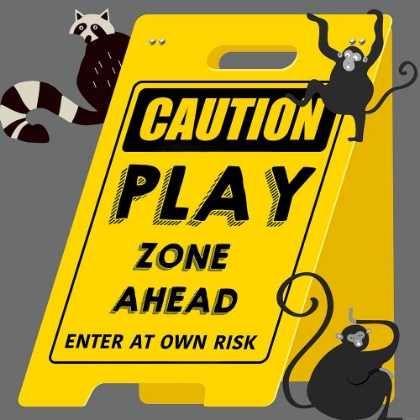 Picture of CAUTION-PLAY ZONE