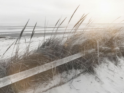 Picture of BLACK AND WHITE BEACH FENCE WITH FLARE