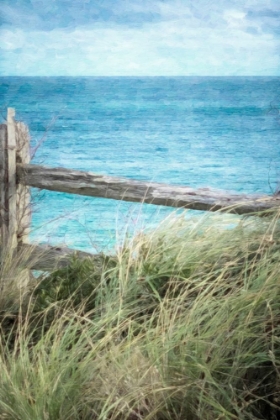 Picture of BEACH FENCE ON THE DUNE