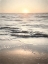 Picture of SILVER AND GOLD SUNSET