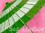 Picture of PARASOL GREEN AND PEONY