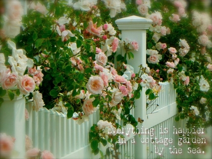 Picture of COTTAGE GARDEN BY THE SEA