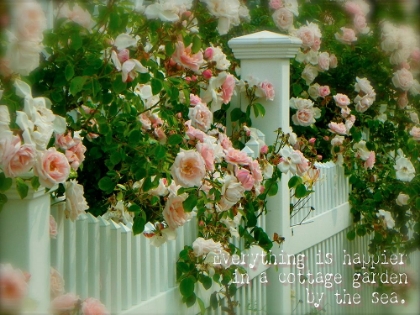 Picture of COTTAGE GARDEN BY THE SEA