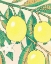 Picture of GUAVA FRUTAS TROPICALES