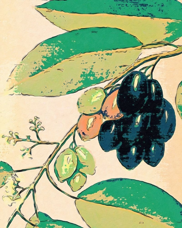 Picture of JAMBOLANA FRUTAS TROPICALES