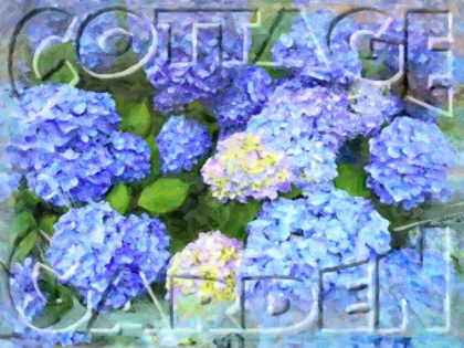 Picture of COTTAGE GARDEN