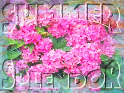 Picture of SUMMER SPLENDOR