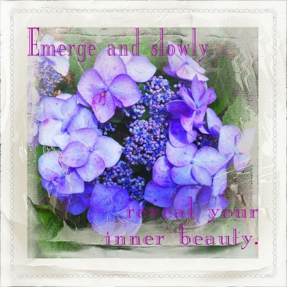 Picture of REVEAL YOUR INNER BEAUTY