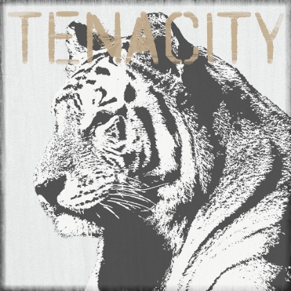 Picture of TENACITY TIGER
