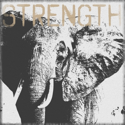 Picture of STRENGTH ELEPHANT
