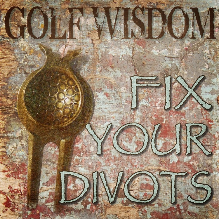 Picture of GOLF WISDOM FIX YOUR DIVOTS
