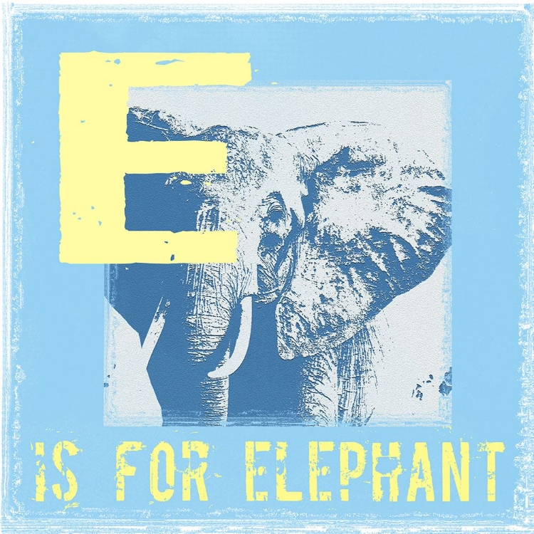 Picture of E IS FOR ELEPHANT