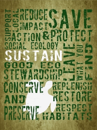 Picture of SUSTAIN TURTLE