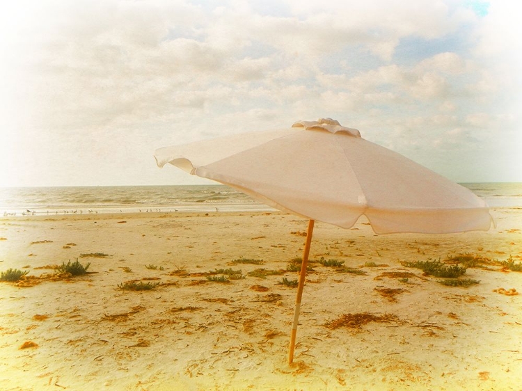 Picture of BEACH MORNING