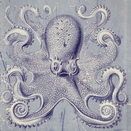 Picture of OCTOPUS I